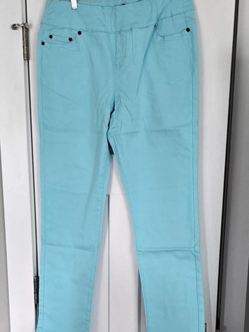 Chadwicks Straight Leg Pants in Blue Size 12 NWT